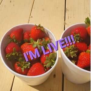 💄$3 Lippies!!!! Makeup And Press On Nails 💅💋